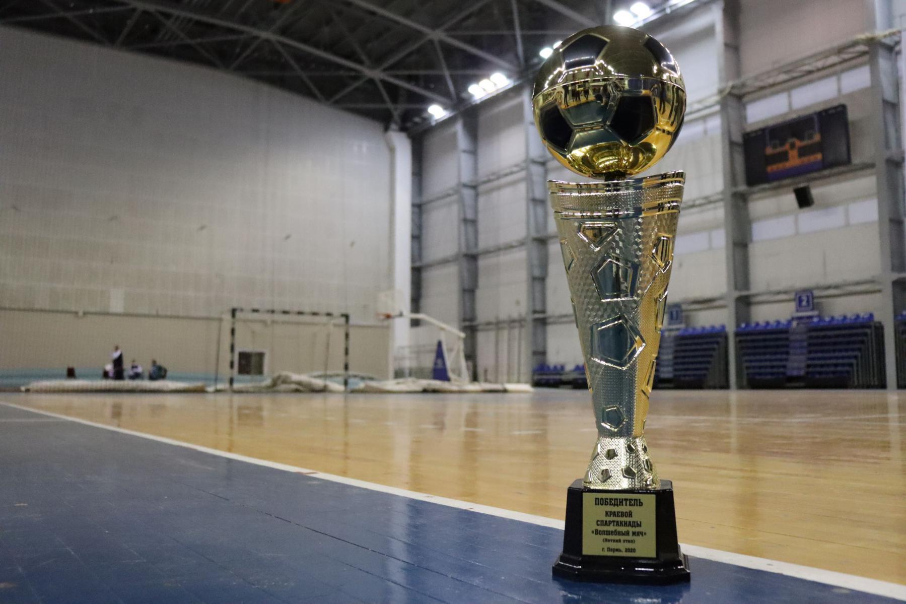 В Прикамье определили победителя летнего фестиваля VI краевой спартакиады «Волшебный мяч».