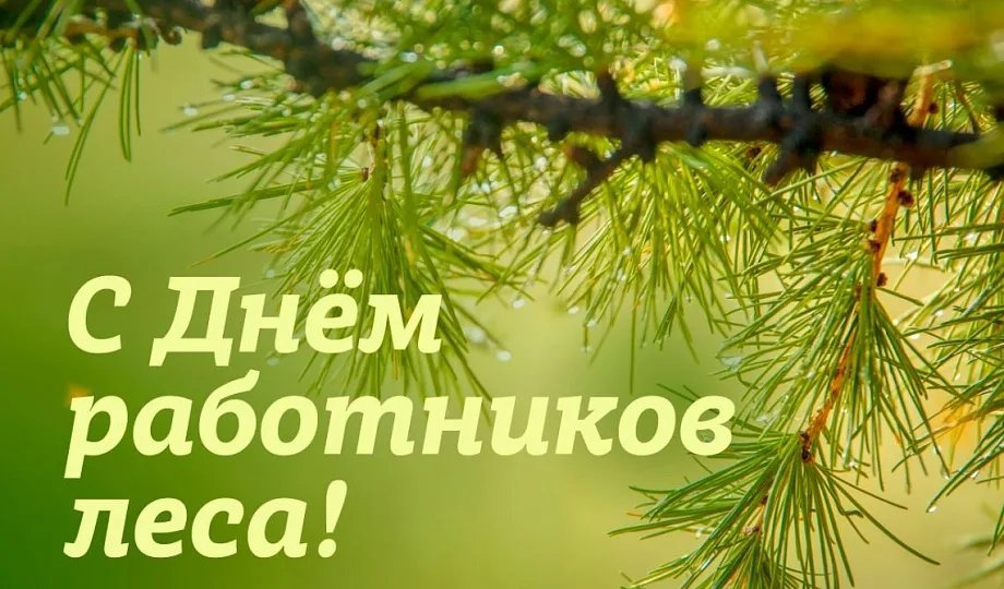 С Днем работников леса и лесоперерабатывающей промышленности!